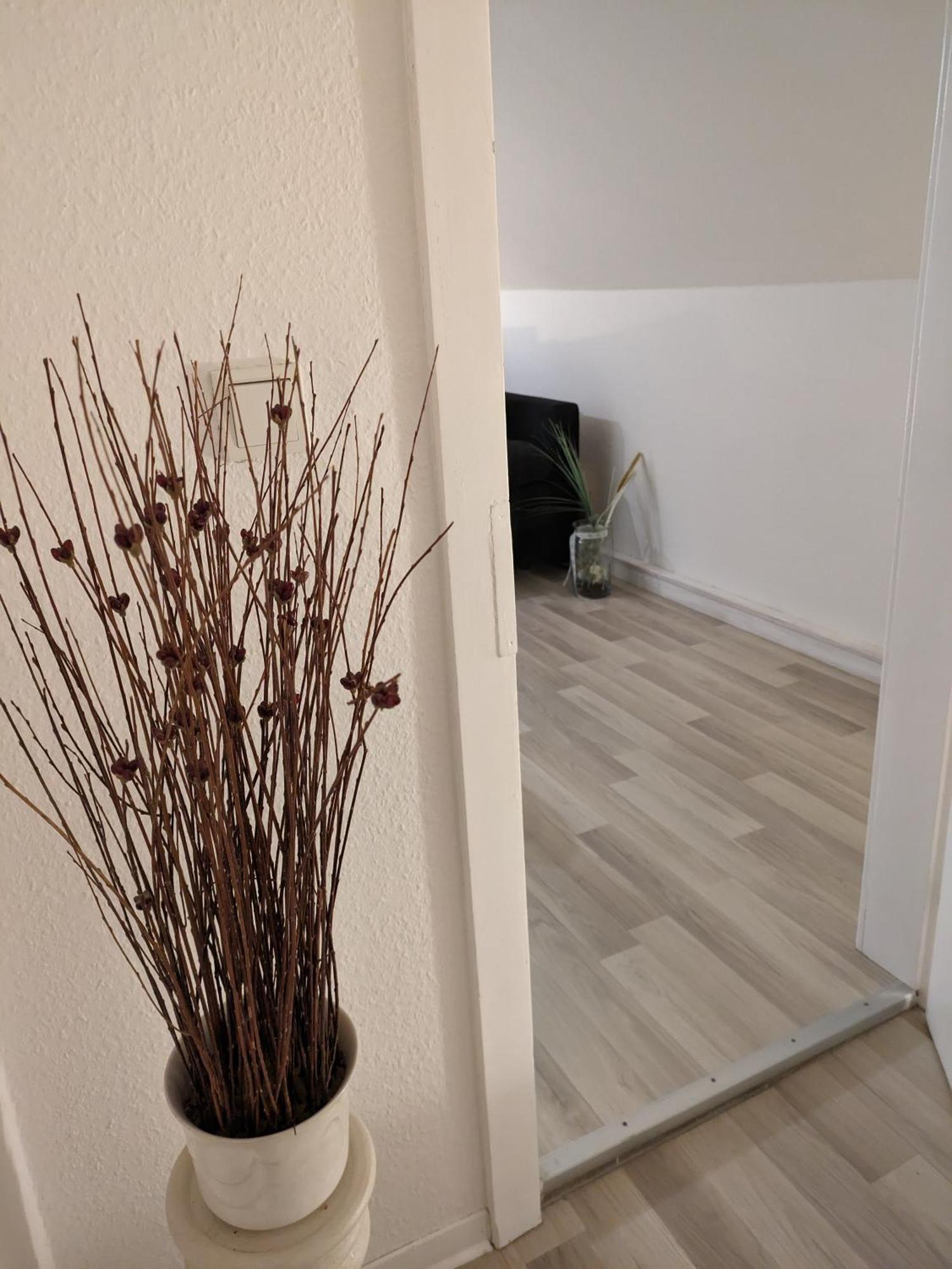 Natur Pur Frielendorf Kültér fotó