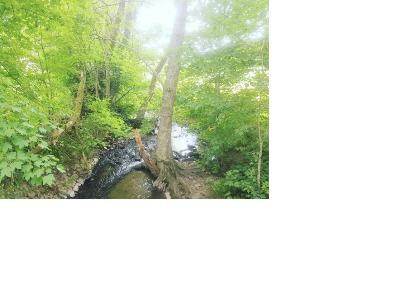 Natur Pur Frielendorf Kültér fotó
