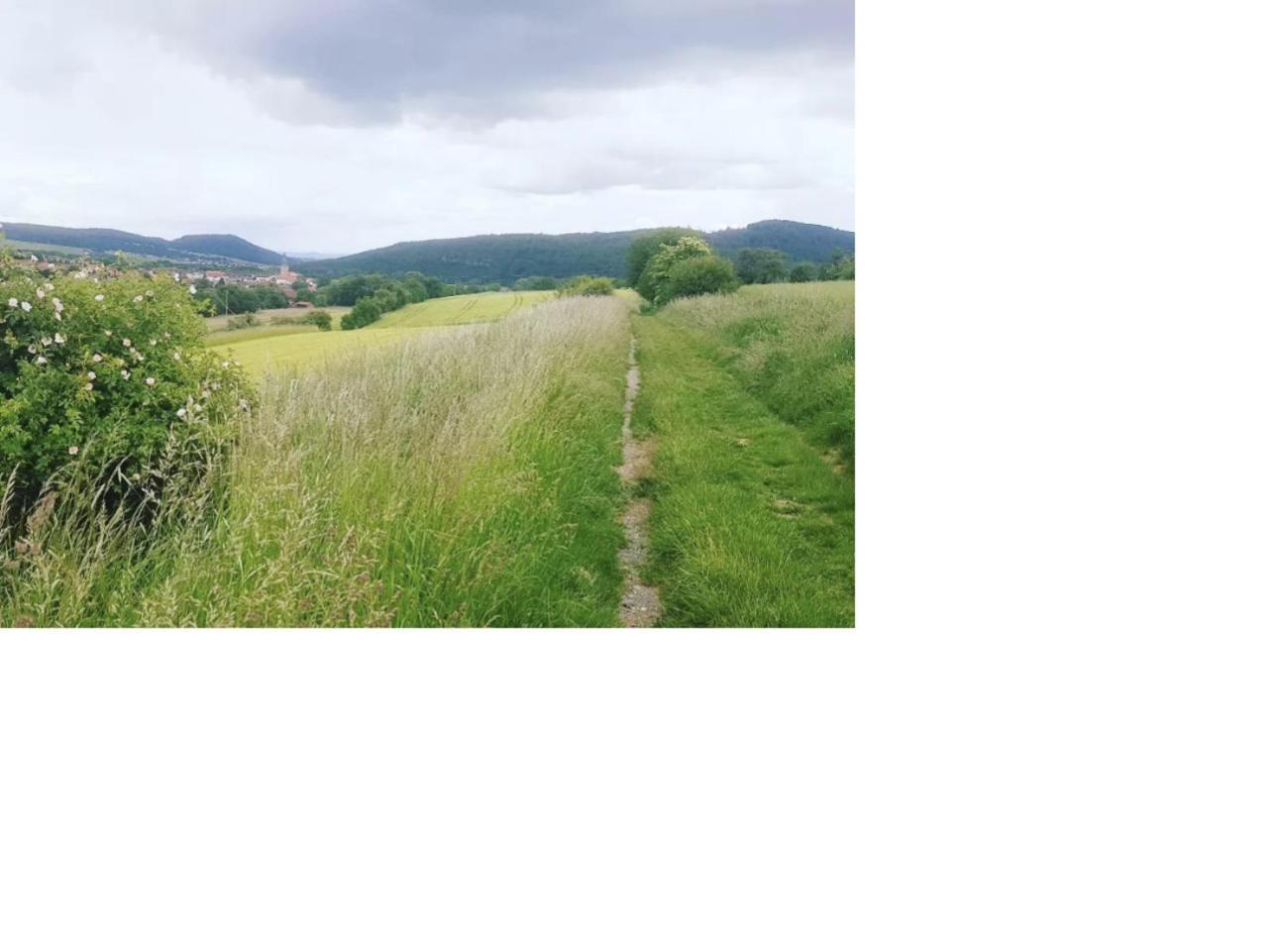 Natur Pur Frielendorf Kültér fotó