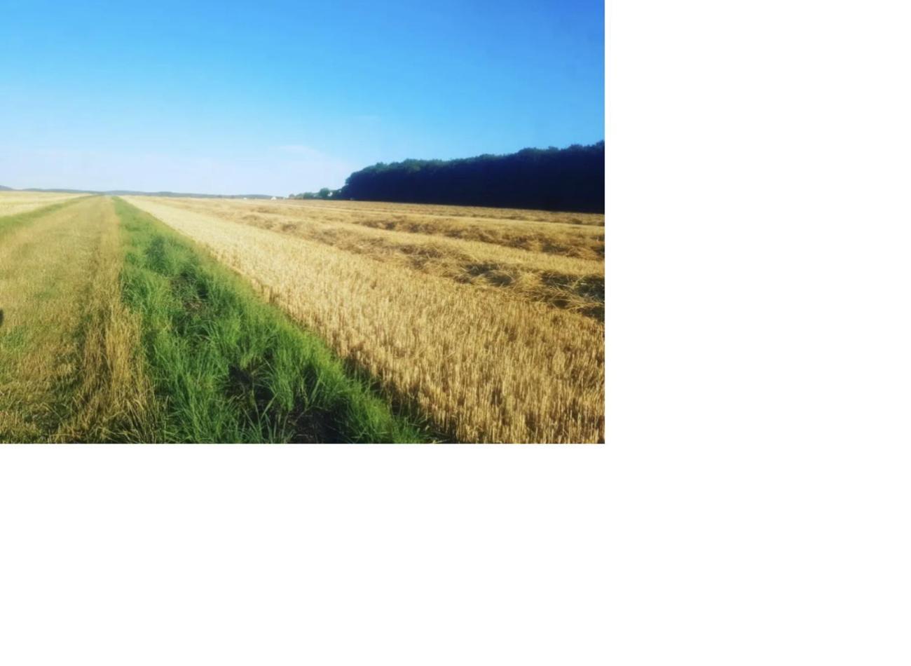 Natur Pur Frielendorf Kültér fotó